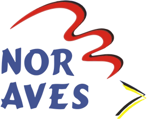 brochure pdf bg 2025 (video para celular).pdf page18 image7 brochure pdf bg 2025 (video para celular).pdf page18 image7